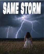 Same Storm cover