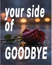 Your Side of Goodbye cover